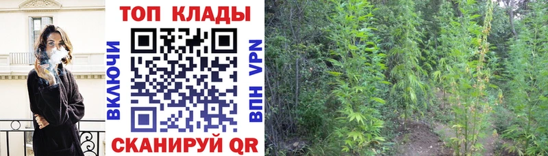 Хочу наркоту Волоколамск Гашиш  Конопля  OMG tor  МЕФ 