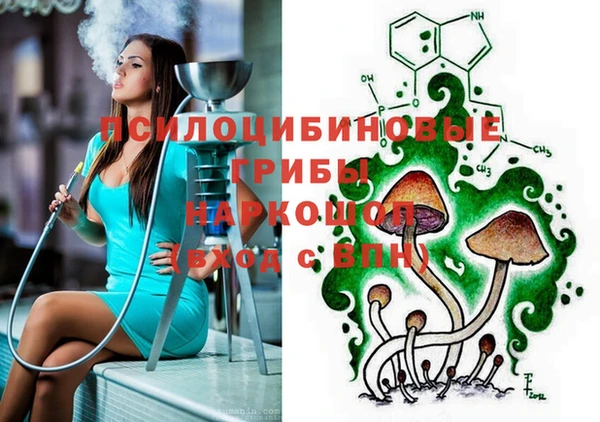 винт Сатка