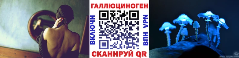 цена   Волоколамск  Псилоцибиновые грибы Cubensis 